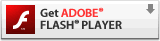 FlashPlayer_E[h